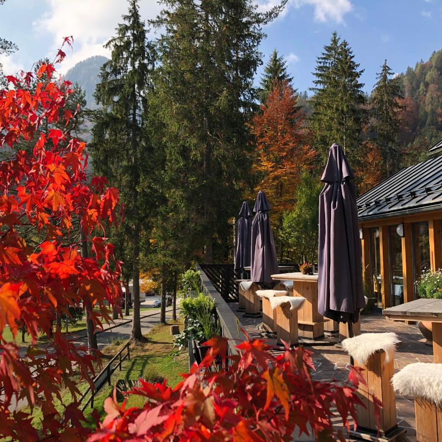 Garni Hotel Vila Triglav Kranjska Gora Exteriör bild