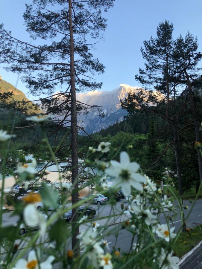 Garni Hotel Vila Triglav Kranjska Gora Exteriör bild